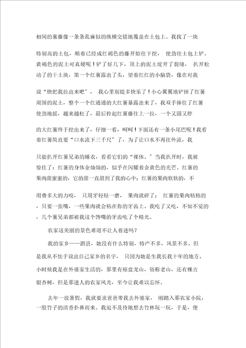 农家风光作文精选