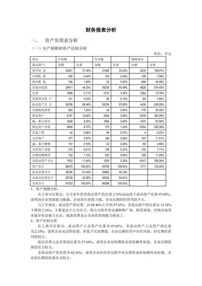 财务报表分析报告