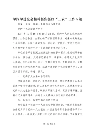 学深学透全会精神抓实抓好“三农”工作5篇 (5).docx