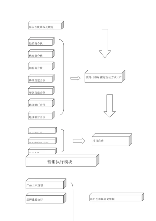 品牌酒营销推广专题方案.docx