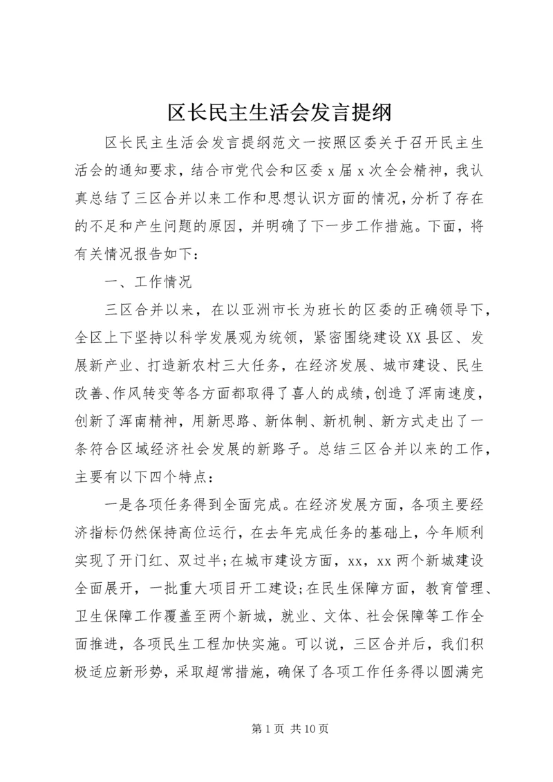 区长民主生活会发言提纲.docx