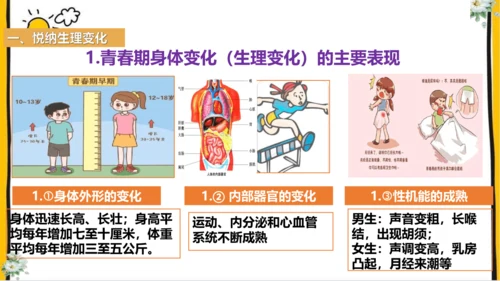 1.1  悄悄变化的我 课件(共26张PPT)