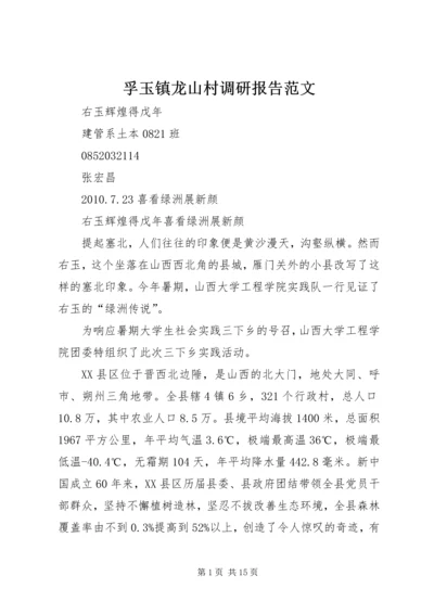 孚玉镇龙山村调研报告范文 (5).docx