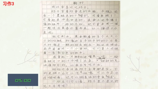 统编版三上第五单元 习作例文：我爱故乡的杨梅   课件