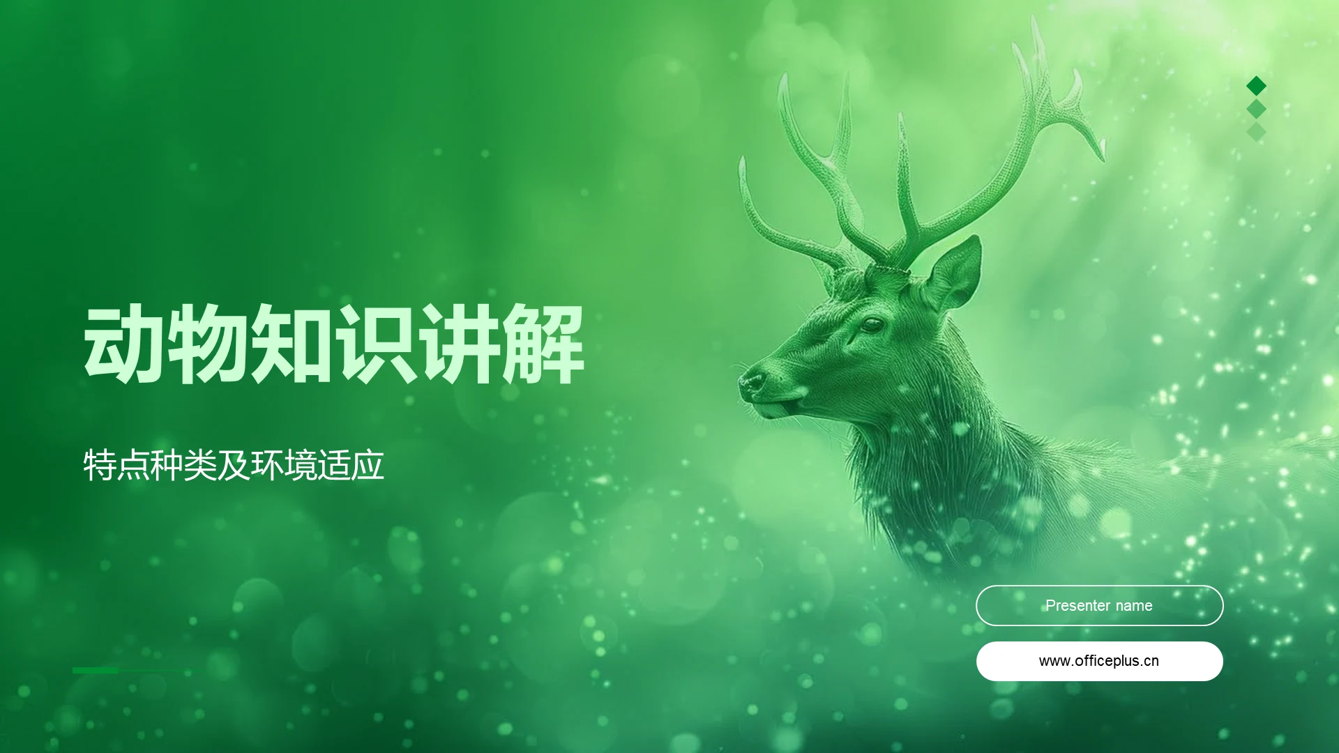 动物知识讲解PPT模板