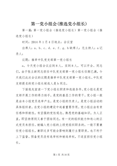 第一党小组会(推选党小组长).docx