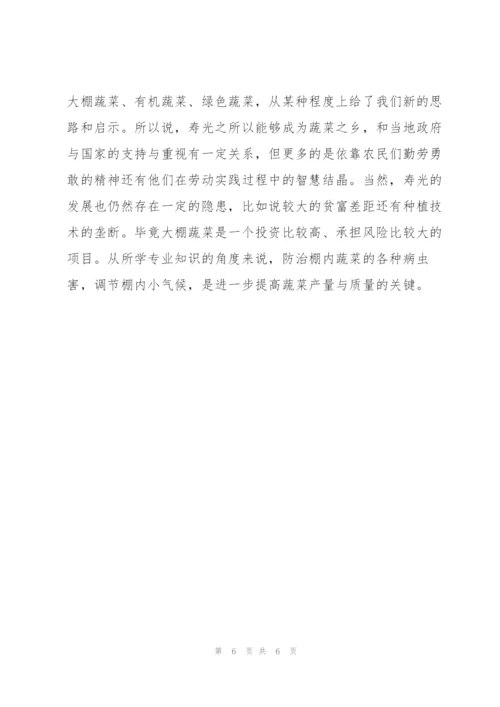 社会实践报告封皮格式.docx