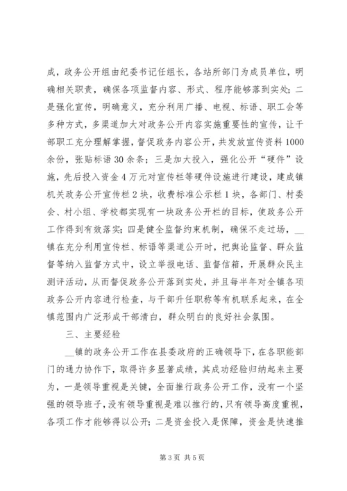 乡镇政务公开工作情况汇报.docx