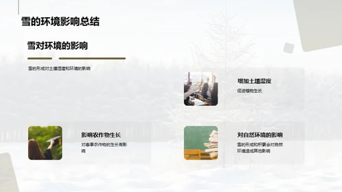 雪的奥秘与影响