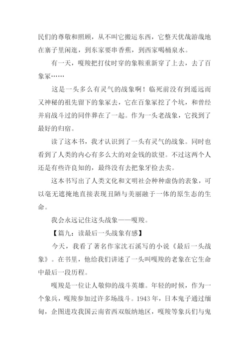 读最后一头战象有感350字.docx