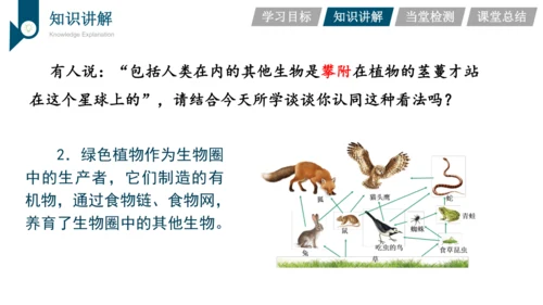 3.3.4  绿色植物是生物圈中有机物的制造者  课件-2023-2024学年人教版生物七年级上册(