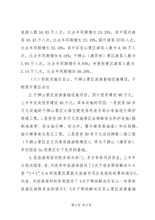 旅游事业局上半年工作总结及下半年工作计划计划.docx