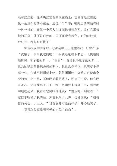 三年级小兔子的作文.docx