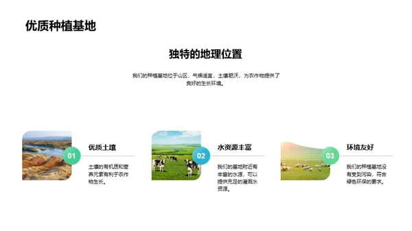 林下经济探析