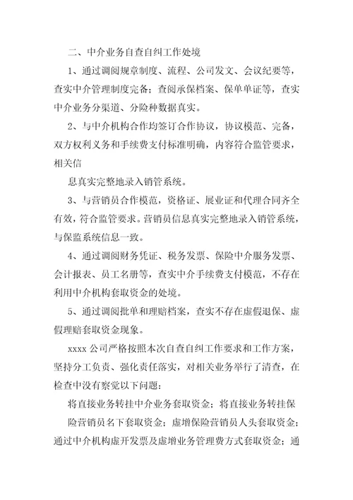 中介机构自查报告