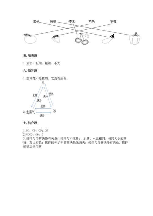 教科版科学一年级上册第一单元《植物》测试卷附答案【综合题】.docx