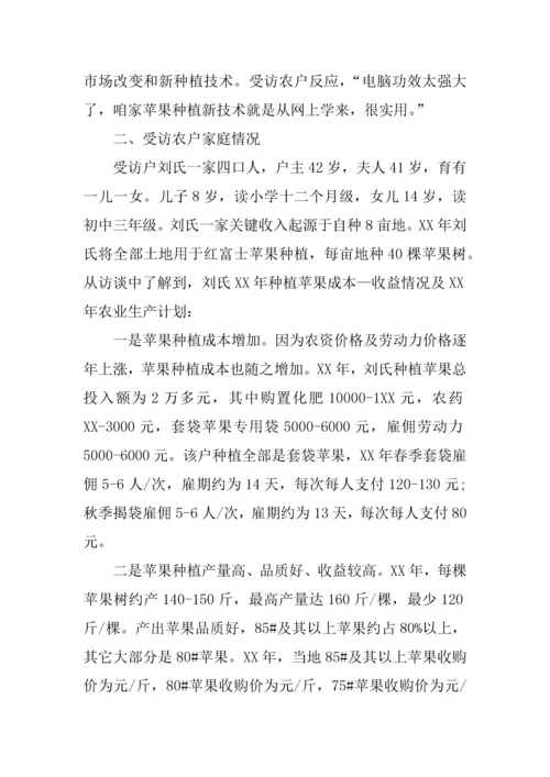 个人回乡调研研究报告.docx