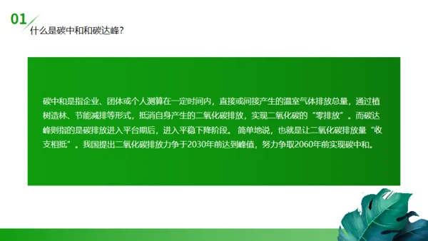 碳达峰碳中和低炭经济环境保护通用PPT模板