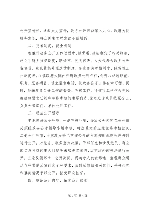 乡镇政务公开工作汇报.docx