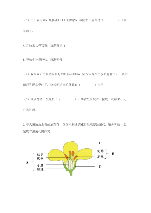 教科版科学四年级下册第一单元《植物的生长变化》测试卷【精练】.docx