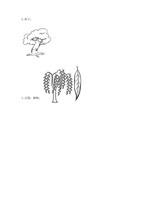 教科版科学一年级上册第一单元《植物》测试卷精品【各地真题】.docx