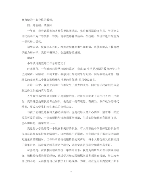 精编之小学试用期教师工作总结范文.docx