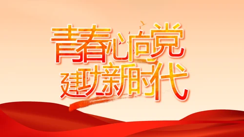 党建党支部年终工作总结汇报PPT党课