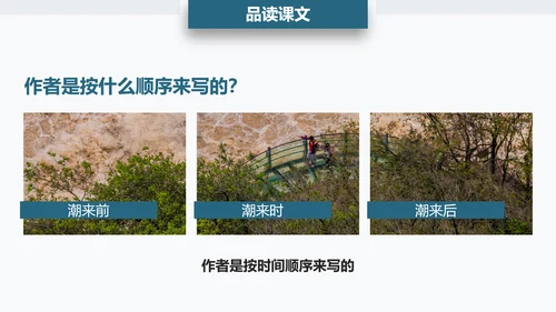 观潮钱塘江小学语文PPT课件