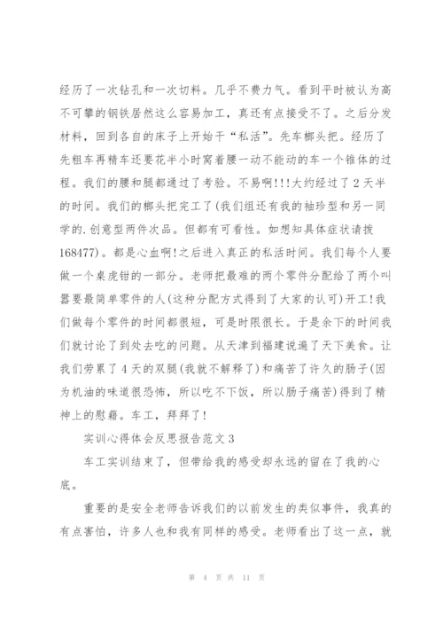 实训心得体会反思报告范文2021.docx