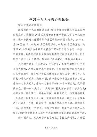 学习十九大报告心得体会 (4).docx