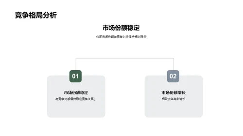 20XX业绩概览与前瞻