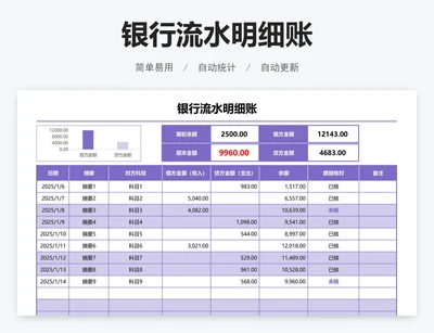 银行流水明细账
