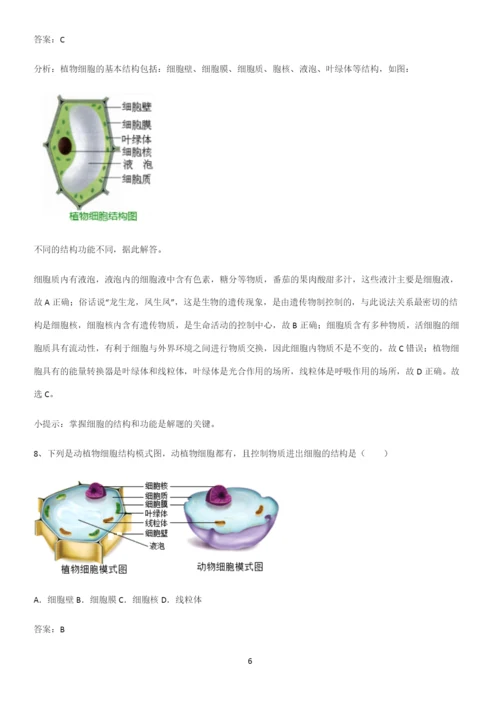 人教版2023初中生物七年级上册第二单元生物体的结构层次知识点归纳超级精简版.docx