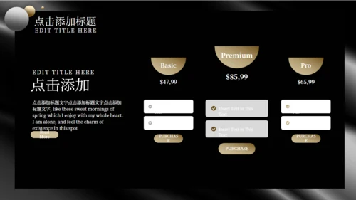 黑金风格商业计划书通用PPT模板