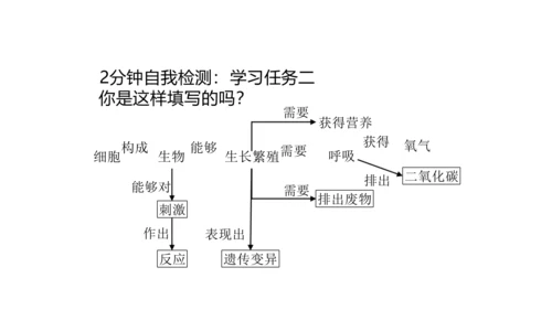 1.1.1 生物的特征 课件（共28张PPT）