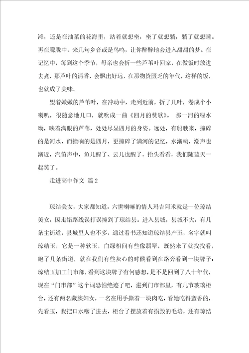 实用的走进高中作文集锦五篇