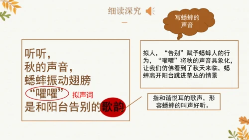 7 听听，秋的声音  课件