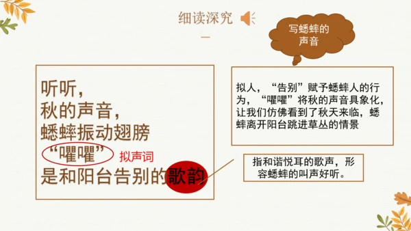 7 听听，秋的声音  课件