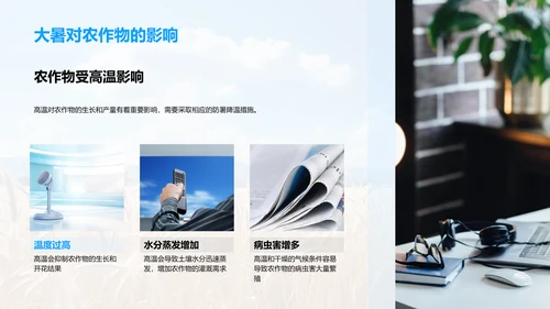 大暑农业生产