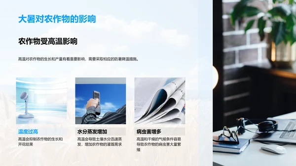 大暑农业生产