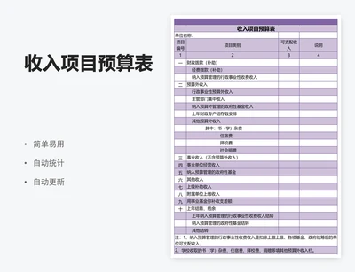 收入项目预算表