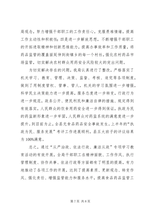 从严治政依法行政廉洁从政报告.docx