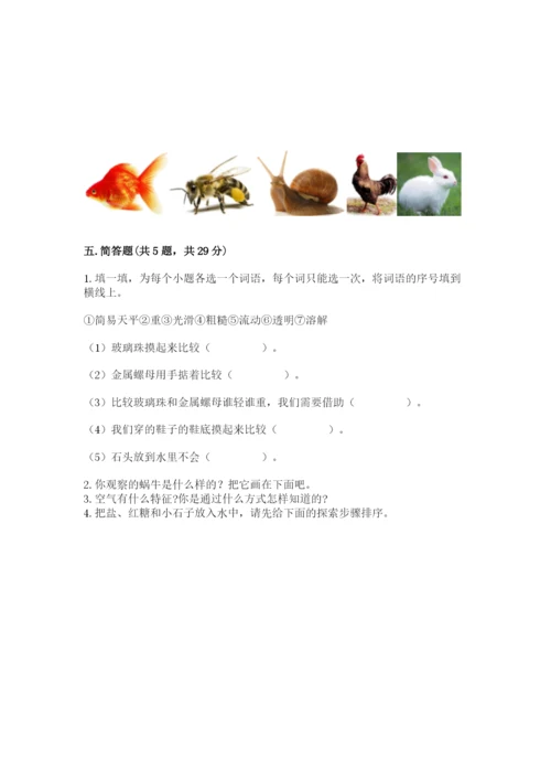 教科版一年级下册科学期末测试卷精品【考点梳理】.docx