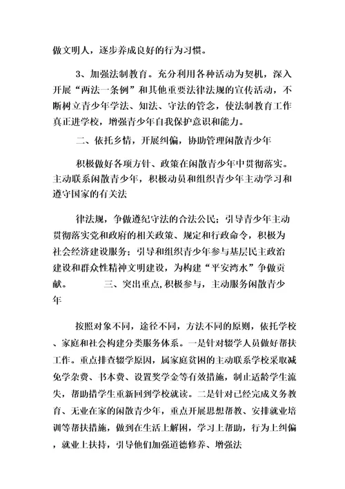 社会闲散青少年管理工作总结