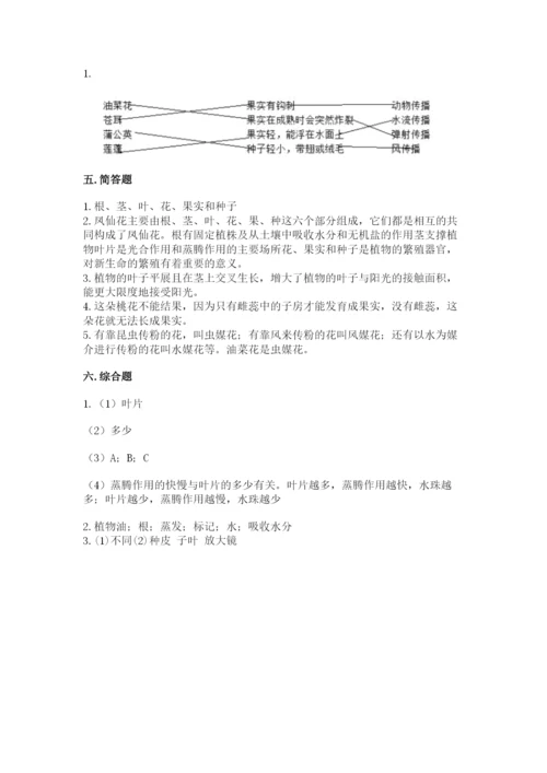 科学四年级下册第一单元植物的生长变化测试卷及参考答案【名师推荐】.docx