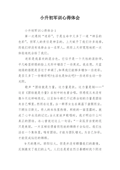 小升初军训心得体会.docx