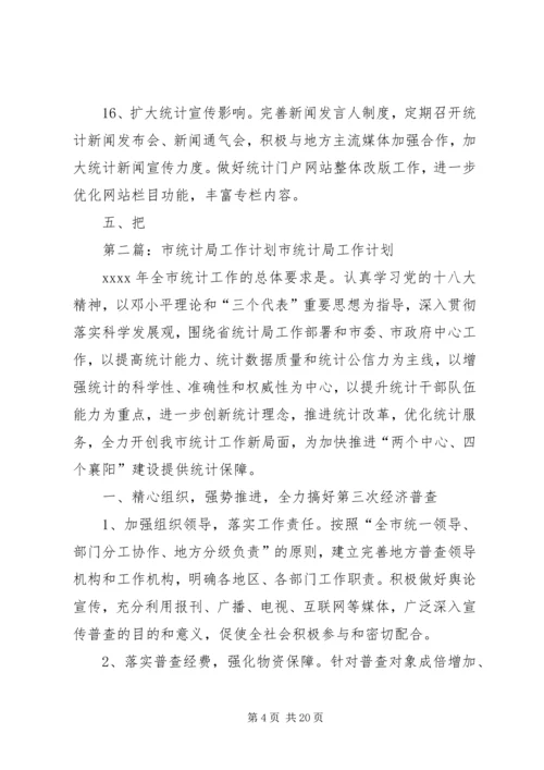 市统计局工作计划[范文模版].docx