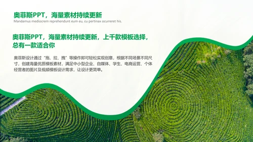 绿色简约风农学专业科研总结