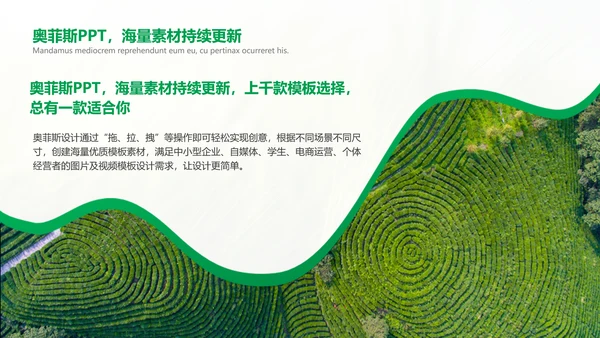 绿色简约风农学专业科研总结