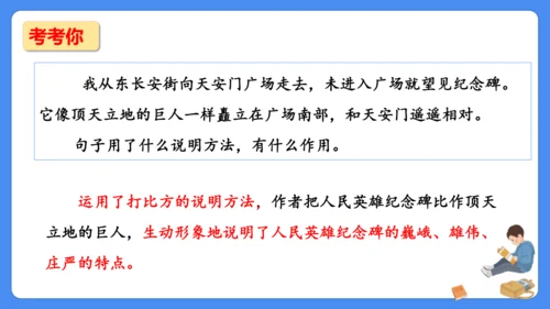 期末专项复习 说明文阅读复习（课件）-2024-2025学年语文五年级上册（统编版）